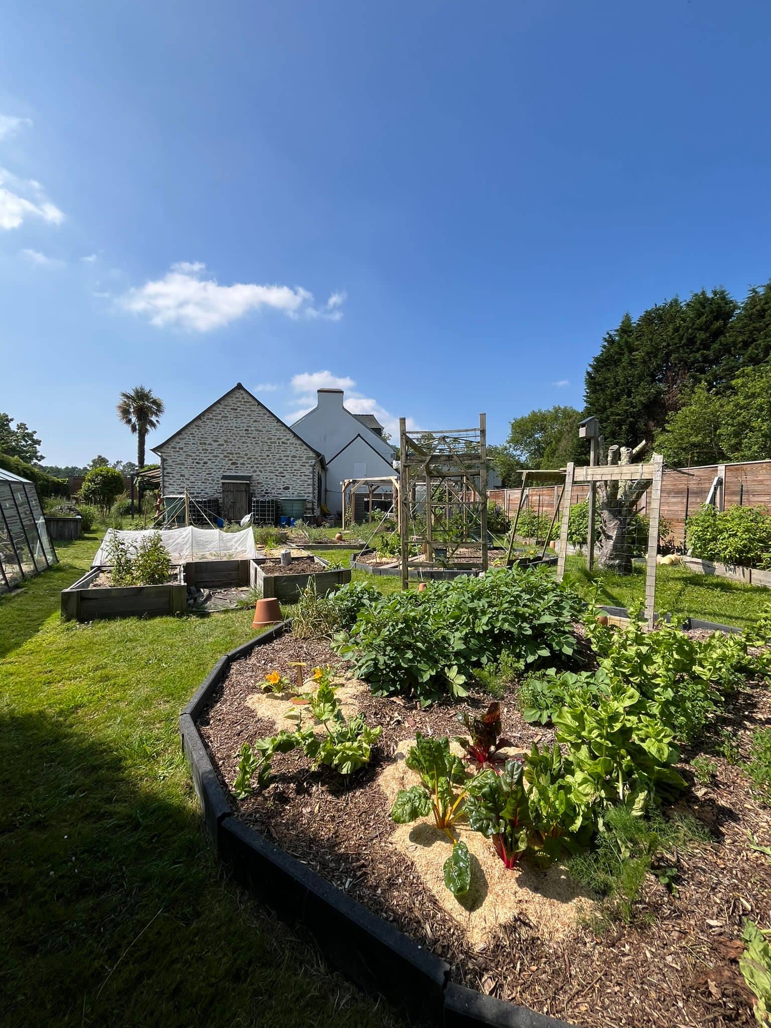 Le potager de Pierre