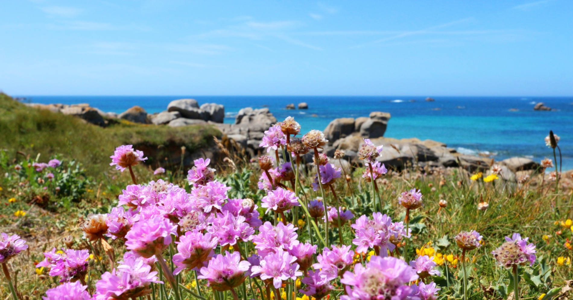 Au 46, Maison d'hôtes nature et table d'hôtes bio et végétarienne à Benodet en Bretagne