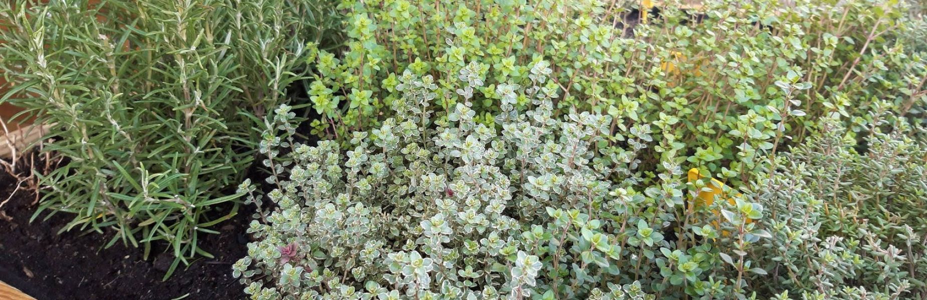 Au 46 Bretagne, maison d'hôtes écologique et table d'hôtes bio