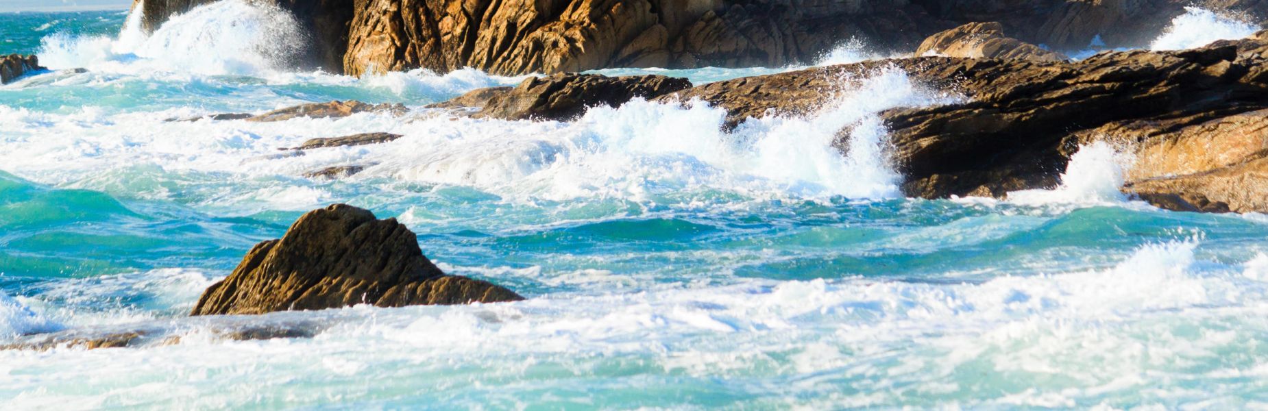 Au 46 Bretagne, maison d'hôtes écologique et table d'hôtes bio