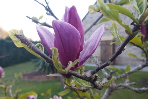 Au 46 Bretagne, maison d'hôtes écologique et table d'hôtes bio